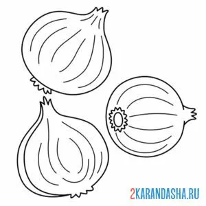 Раскраска три луковицы