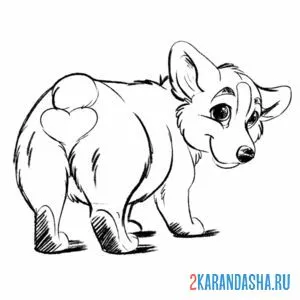 Раскраска милашка корги