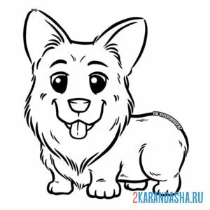 Раскраска малыш-корги