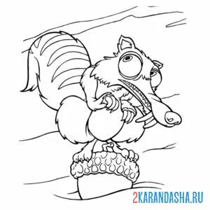Раскраска белка из ледникового периода
