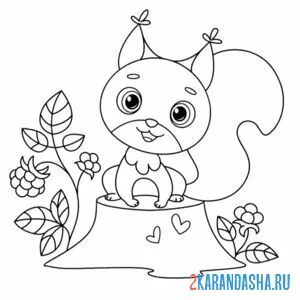 Раскраска белочка каваи