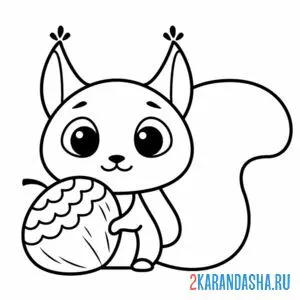 Раскраска каваи белочка с орешком