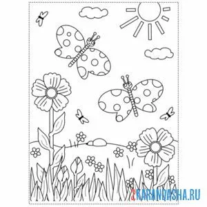 Раскраска бабочки солнце май