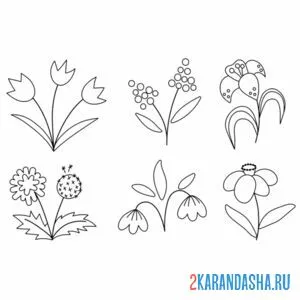 Раскраска цветы на земле