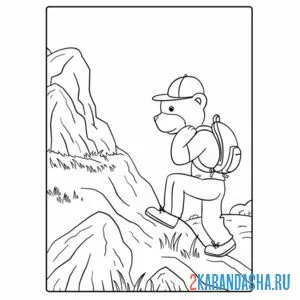 Раскраска турист мишка в горах