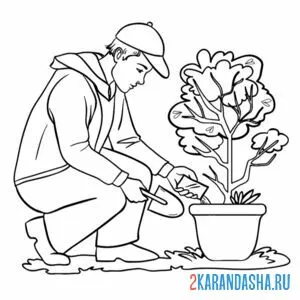 Раскраска сажай деревья экология