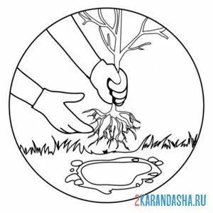 Раскраска посадка деревьев экология