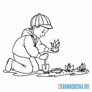 Раскраска высадка деревьев