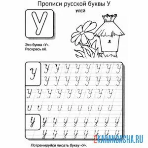 пропись буква у с картинкой