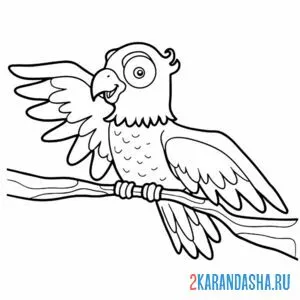 Раскраска попугай с крылом