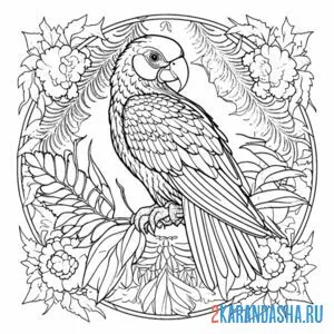 Раскраска арт-попугай