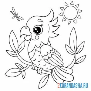 Раскраска попугай для малышей
