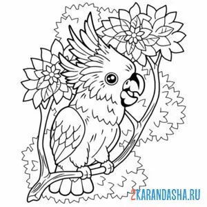 Раскраска попугай в цветах довольный