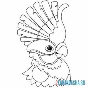 Раскраска распустил хохолок попугай