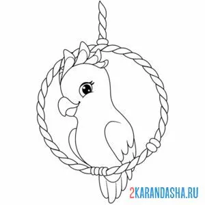 Раскраска девочка-попугай в кольце