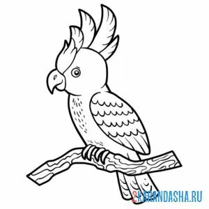 Раскраска попугай на жердочке