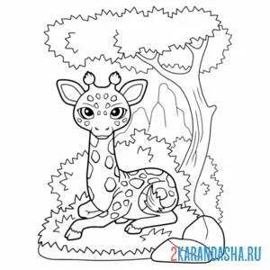 Раскраска жираф в лесу