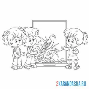 Раскраска детишки смотрят на попугая