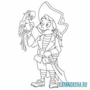 Раскраска пират юный с попугаем