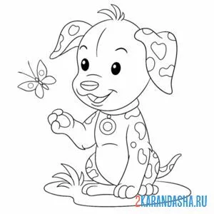 Раскраска бабочка и щенок