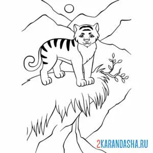 Раскраска горный тигр