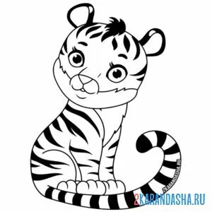 Раскраска тигр смотрит