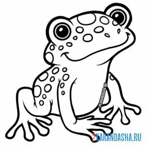Раскраска пупырчатая лягушка
