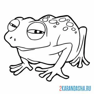 Раскраска жмурится лягушка