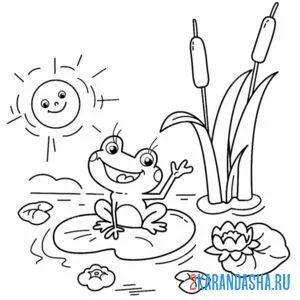 Раскраска лягушка в пруду