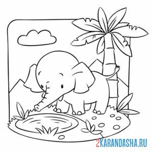 Раскраска слон в африке