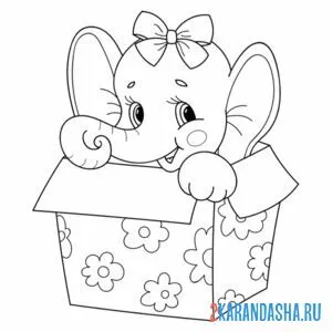 Раскраска слон в коробке