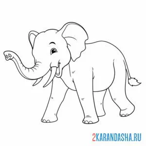 Раскраска слон взрослый бежит