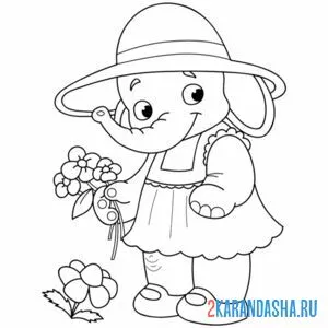 Раскраска слон хозяйка
