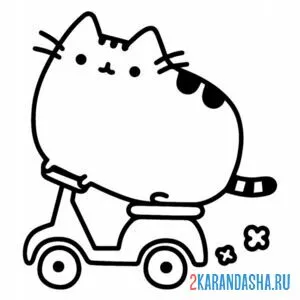 Раскраска кот пушин на скутере