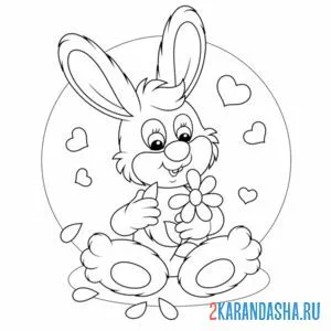 Раскраска кролик с цветочком