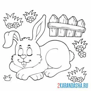Раскраска зайка спит