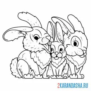 Раскраска семья зайцев