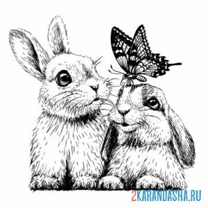 Раскраска два зайца и бабочка