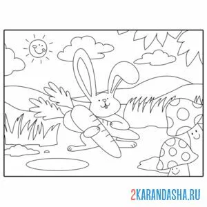 Раскраска заяц на лужайке