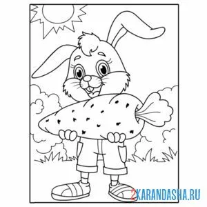 Раскраска заяц кролик с огромной морковью