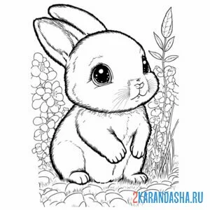Раскраска малыш заяц
