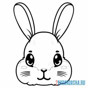 Раскраска голова зайца