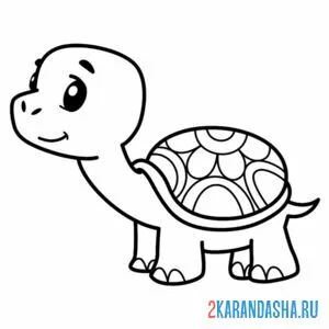 Раскраска маленькая черепашка