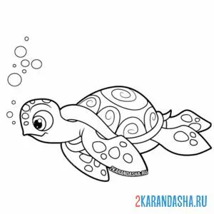 Раскраска плавчиха-черепаха