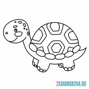 Раскраска рисунок черепашки
