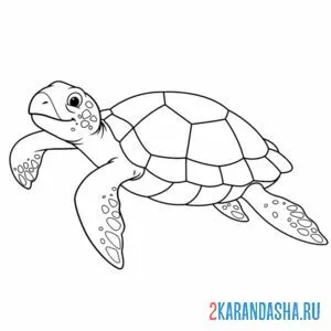 черепаха умеет плавать