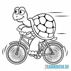 Раскраска черепаха на велосипеде