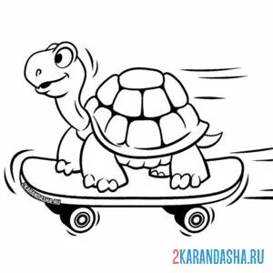 Раскраска черепаха на скейтборде