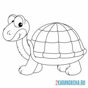 Раскраска черепашка удивилась