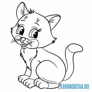 Раскраска кот сидит мяу